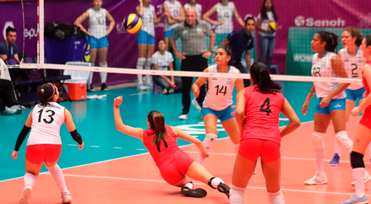 Selección Femenina De Vóleibol Se Enfrentará A Eeuu Por La Copa Panamericana Este Domingo El 7268