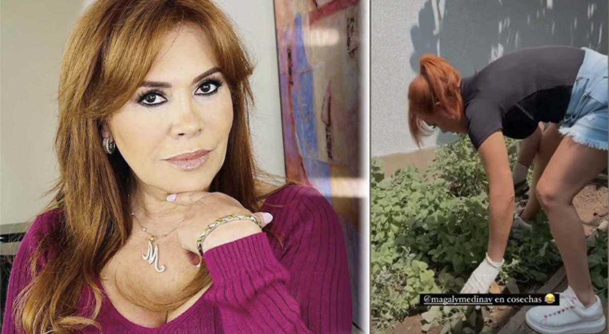 Magaly Medina En Instagram Sorprende Con Ins Lita Acci N Y La Trolean En Cosechas El Popular