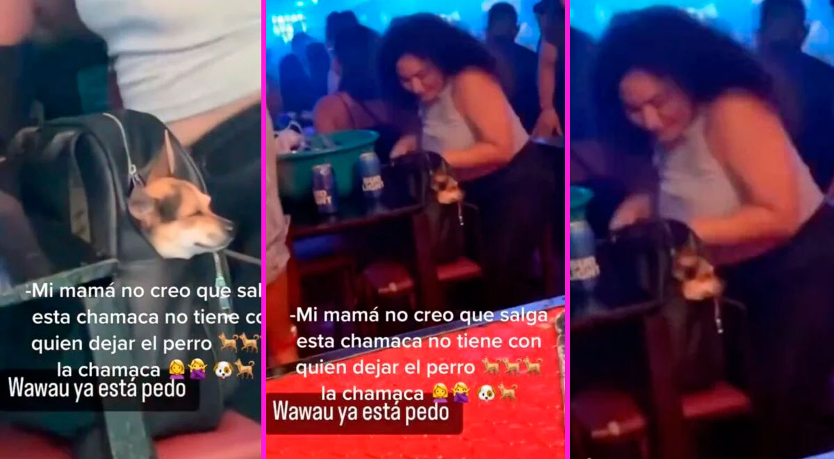TikTok viral: Joven se va de fiesta y se lleva a su perrito en la ...