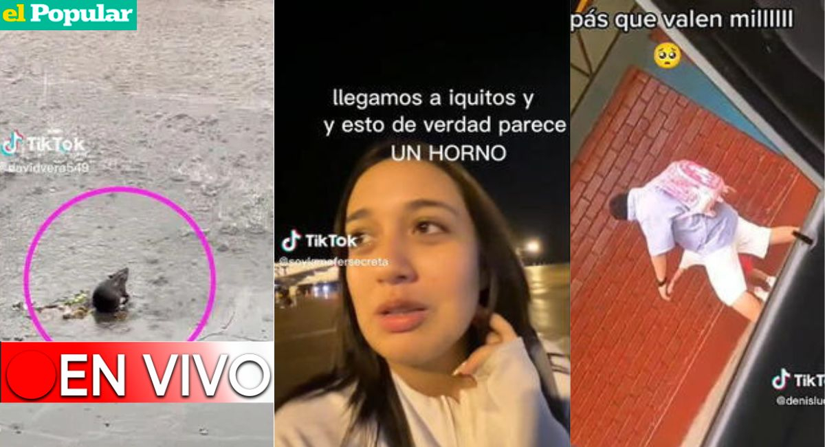 TikTok. Empleado sorprende con cantidad de cajas que carga video viral -  Grupo Milenio