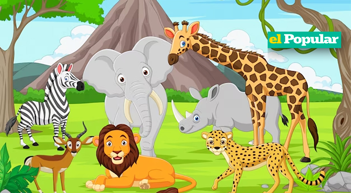 Tipos de nutrición: Clasificación de la nutrición de los seres vivos | El  Popular