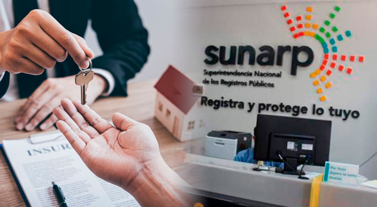 Sunarp | La Guía Completa Para Comprar Propiedades Como Casa, Terreno O ...