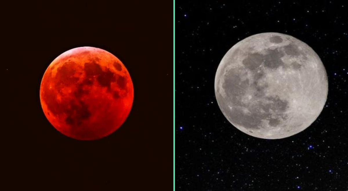 Eventos Astronómicos Mayo 2023 Eclipse De Sangre Luna De Flores Y Más Fenómemos Astronómicos