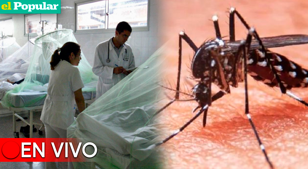 Dengue En Perú En Vivo última Hora De La Emergencia Sanitaria En Piura Lambayeque Y Otras 3029