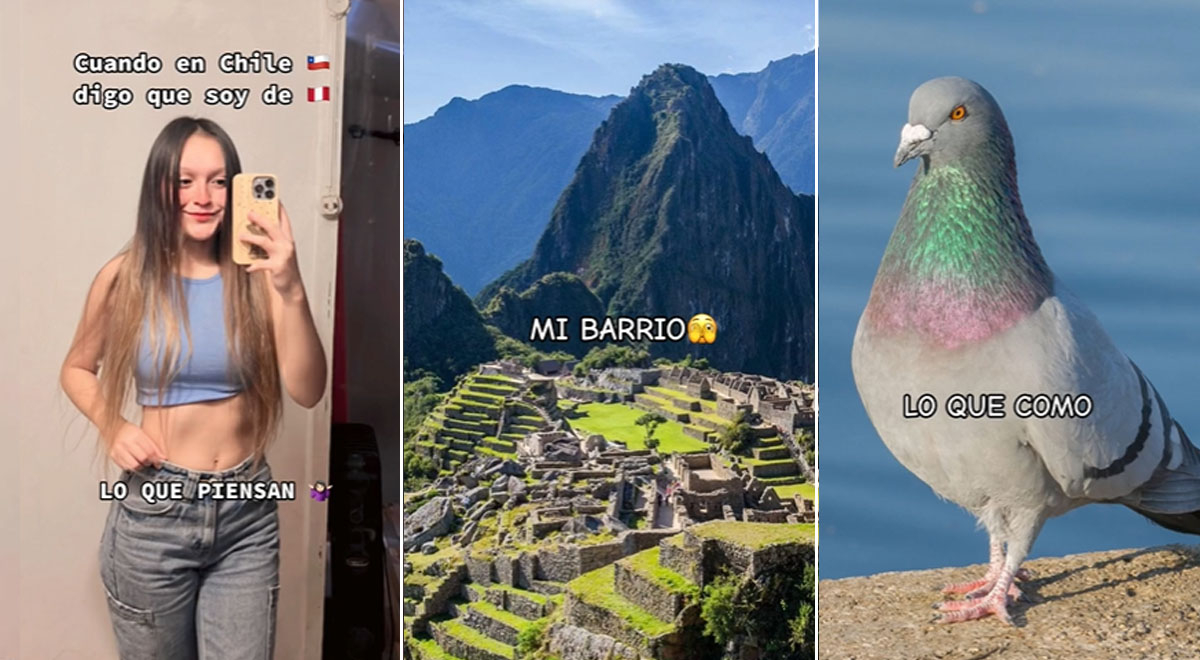 Tiktok Viral Peruana Revela Lo Que Pasa Cuando En Chile Dice Que Es De Perú Y Sorprende En