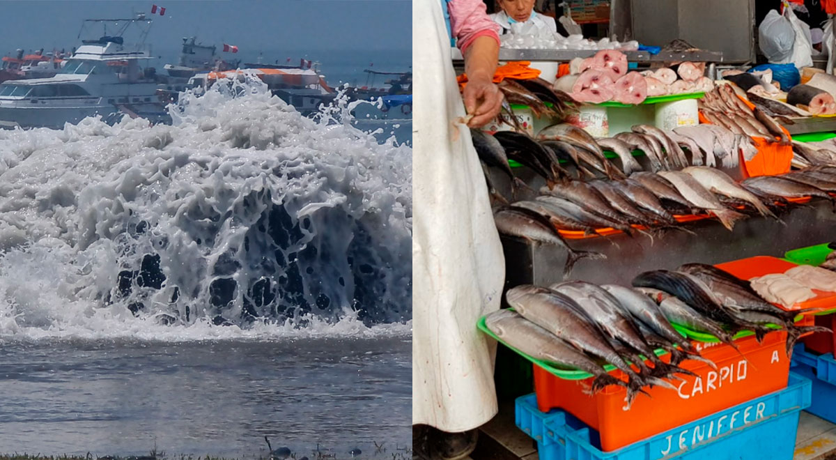 Trujillo: Venden pescado congelado en mercados a causa de los