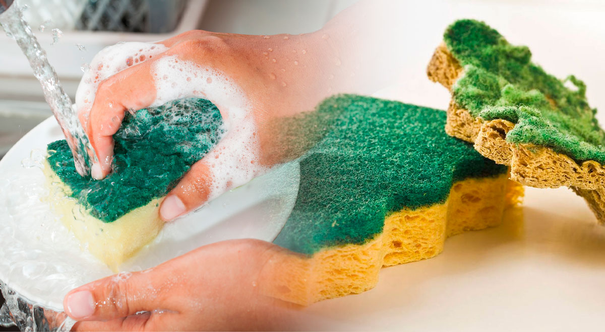 Cómo desinfectar las esponjas de cocina con trucos caseros, Trucos de  limpieza, Hogar, nnda, nnni, VIDA