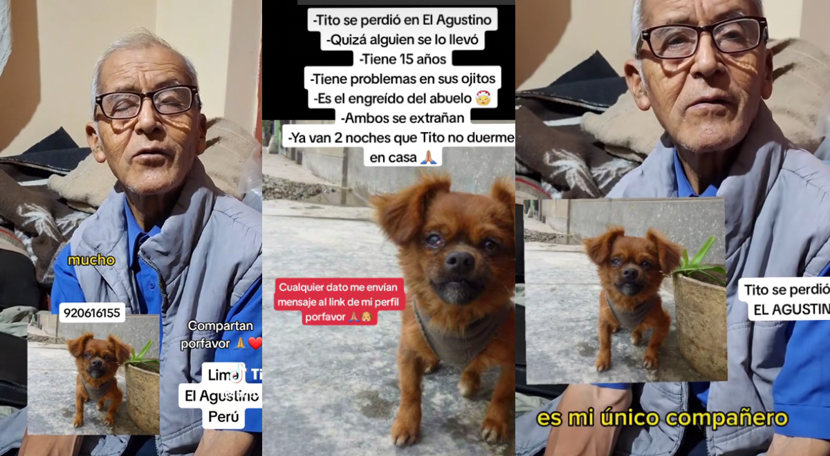 Adulto mayor busca desesperadamente a su perrito en El Agustino: "Es mi ...