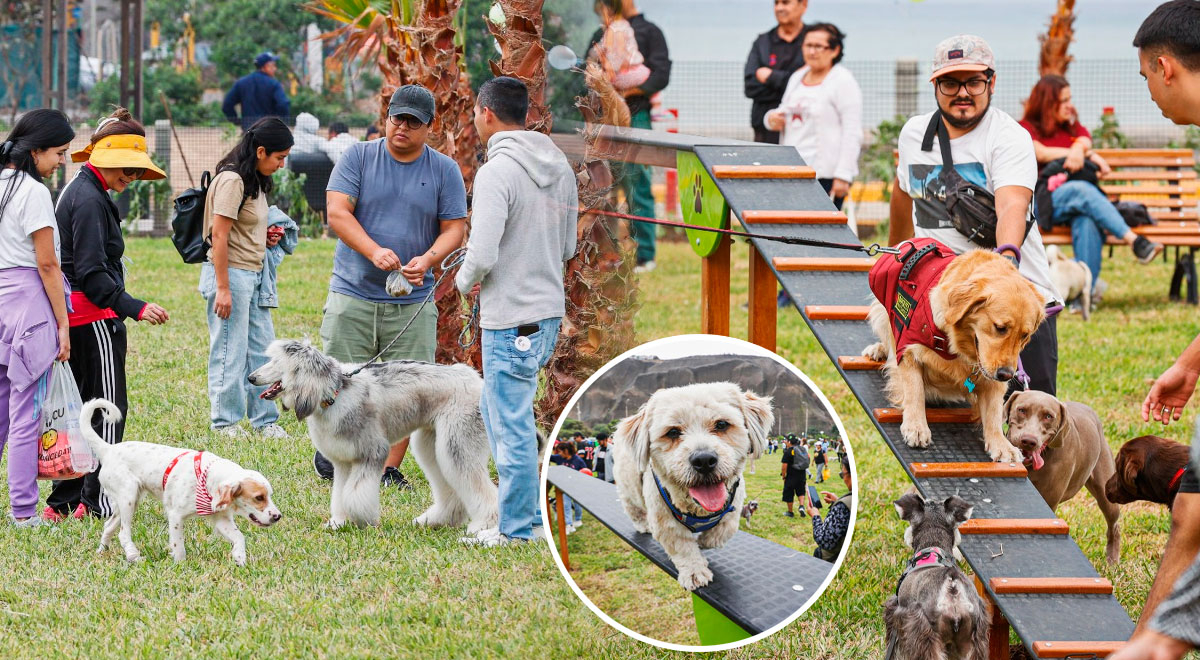Diversión para tu mascota! Inauguran un nuevo parque para perros