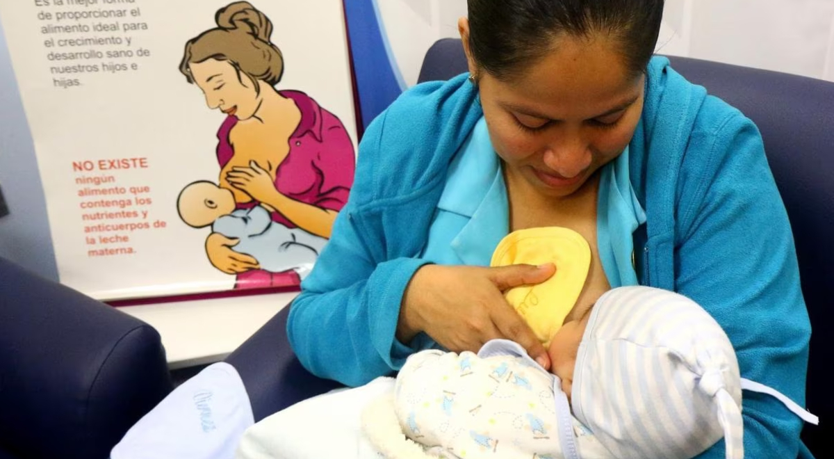 ¿Acabas de ser madre? conoce el paso a paso cómo cobrar el subsidio por ...