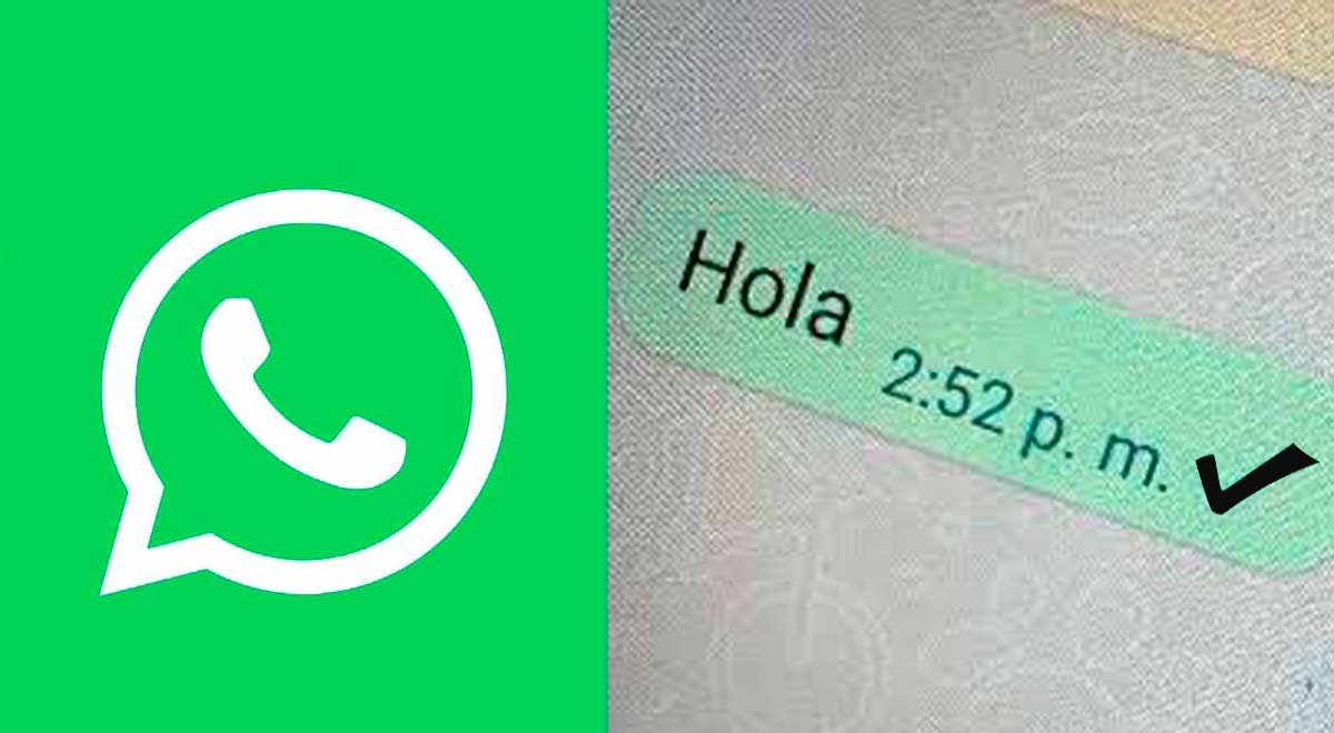 Si Borro Mensaje De Whatsapp Con Una Palomita