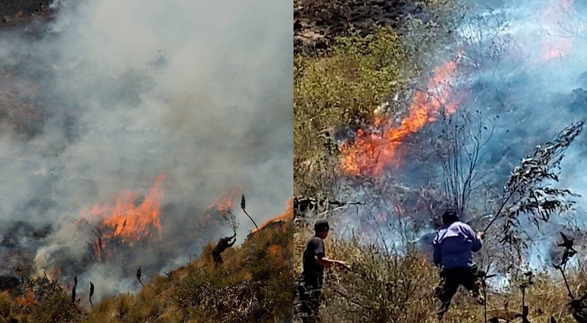 Piura Incendio Forestal Lleva 3 Días En Llamas Y Va Destruyendo Más De 1500 Hectáreas En Bosque 8353