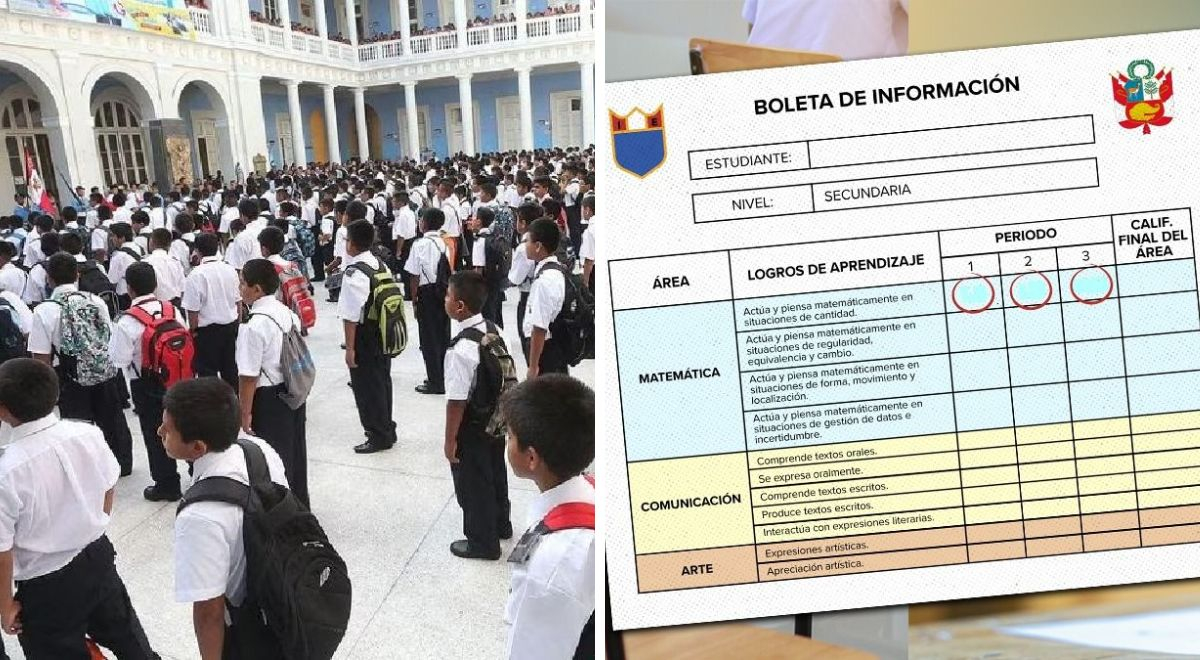 Con cuántos cursos se repite el año escolar 6