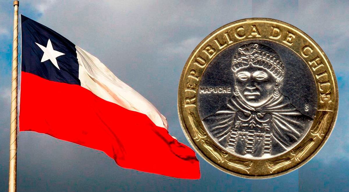 Esta es la moneda chilena de 100 pesos que puede hacerte ganar hasta 13 mil  dólares | El Popular