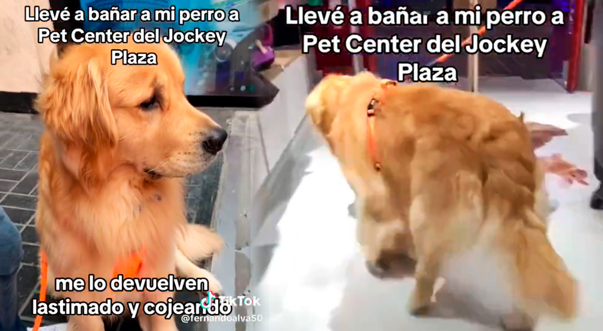 ¡Indignante! Empleado de veterinaria en Jockey Plaza es acusado de golpear  a perro y dejarlo cojo