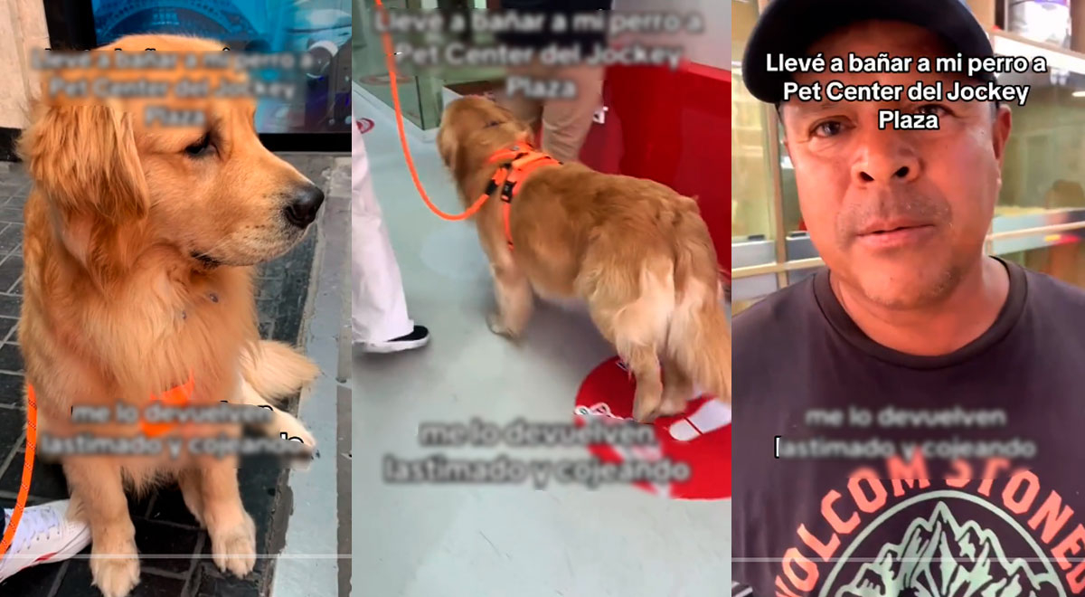 TikTok denuncia a veterinaria Pet Center del Jockey Plaza por devolverle a su perro en pésimo