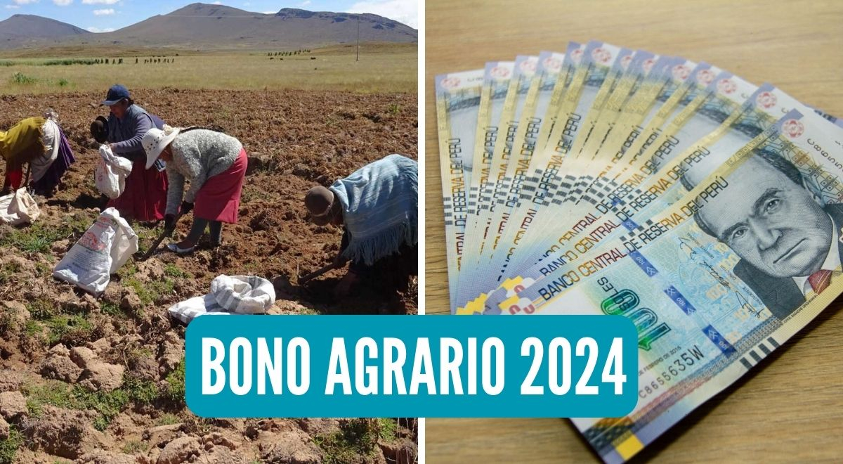 Bono Agrario 2024 descubre si recibirás hasta 7,447 soles de subsidio