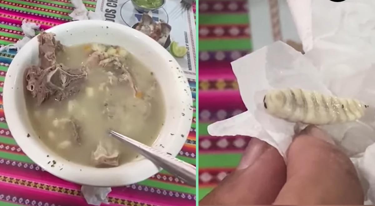 Huancayo: Compran caldo de cabeza y encuentran gusano en su plato: 