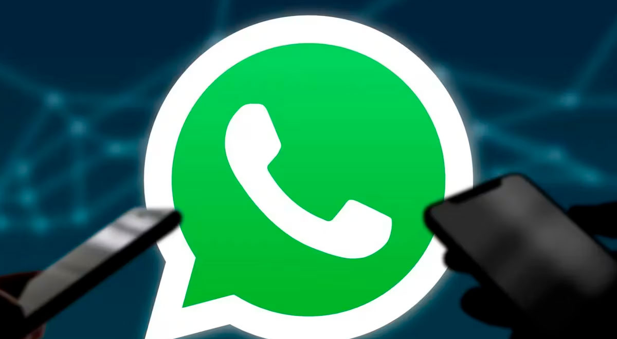 ¿Se cayó WhatsApp? Cómo saber si funciona mi aplicación WhatsApp plus