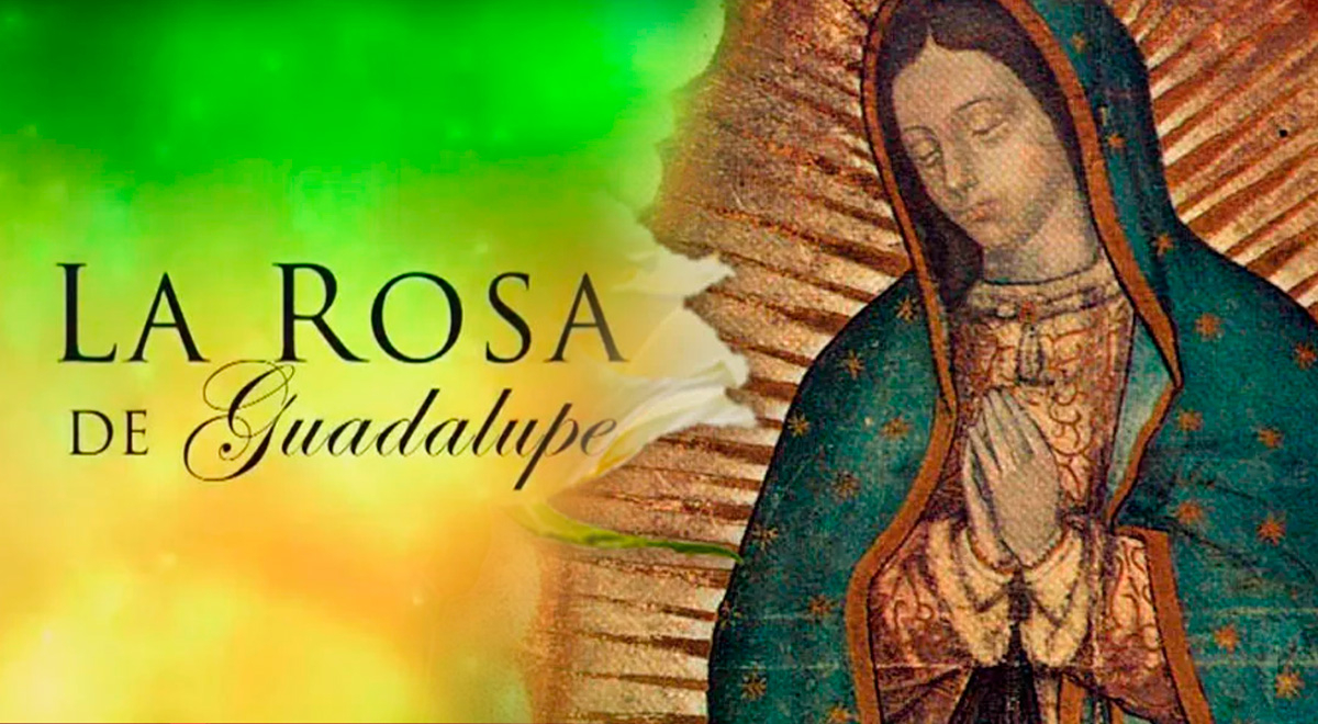 La Rosa de Guadalupe 2024 el bruto capítulo completo en HD: dónde y cómo  ver online gratis vía streaming Youtube | telenovelas de México | El Popular