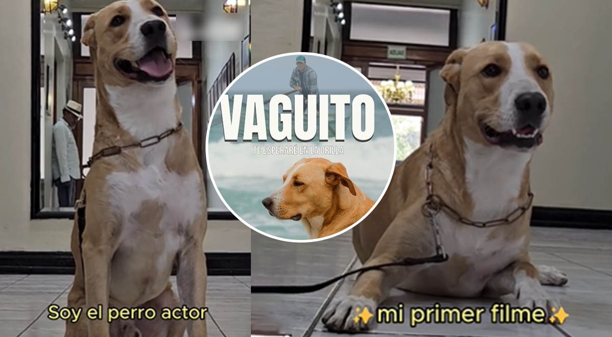 Película "Vaguito" De las calles al cine Conoce la CONMOVEDORA