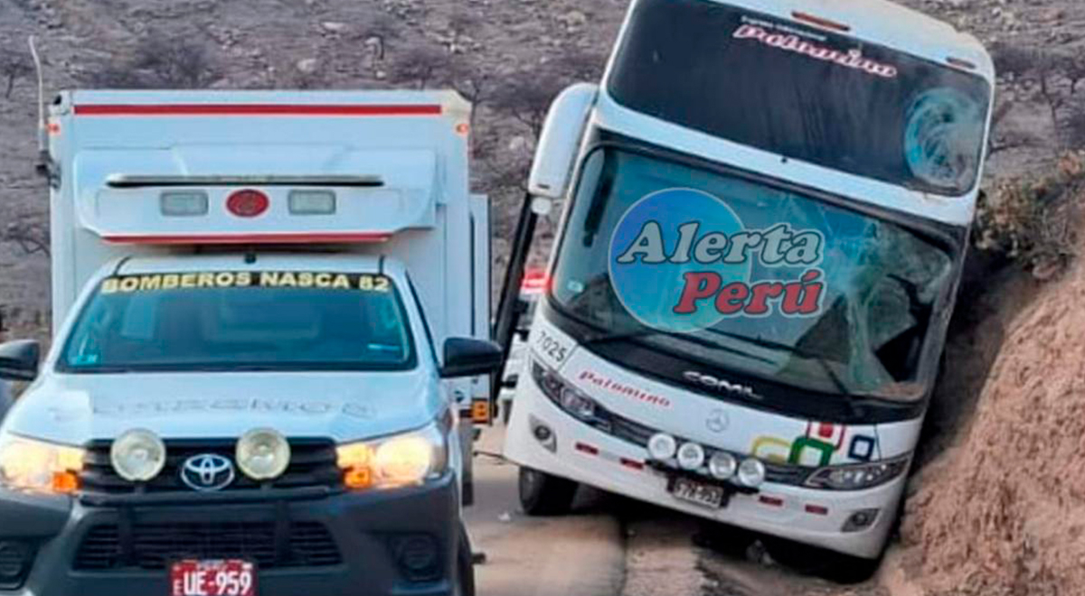 Bus de la empresa Palomino sufrió un despiste.