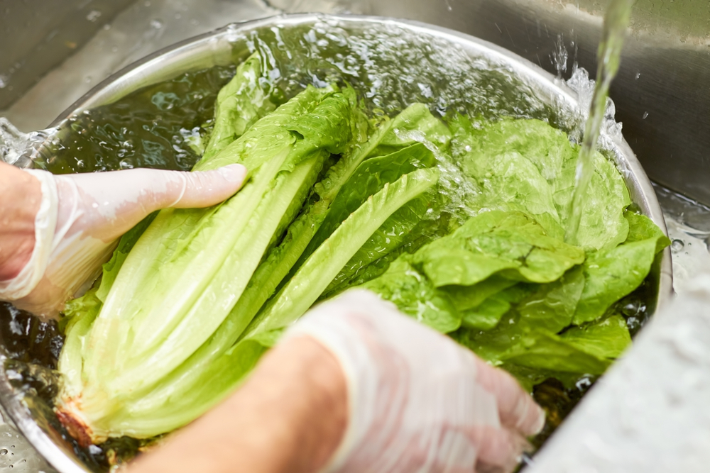 ¿Lechuga fresca por más de 60 días? Chef revela maravilloso truco para conservarla sin complicarte la vida