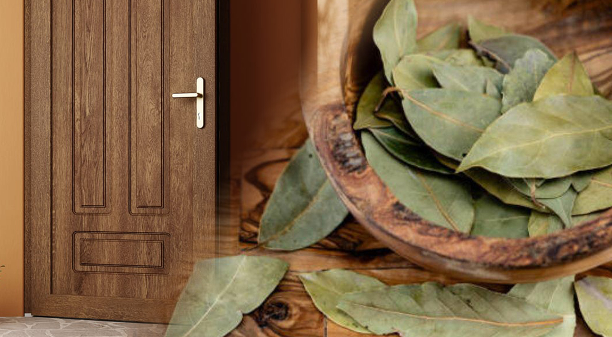 ¿El secreto ancestral del laurel detrás de la puerta? Descubre por qué