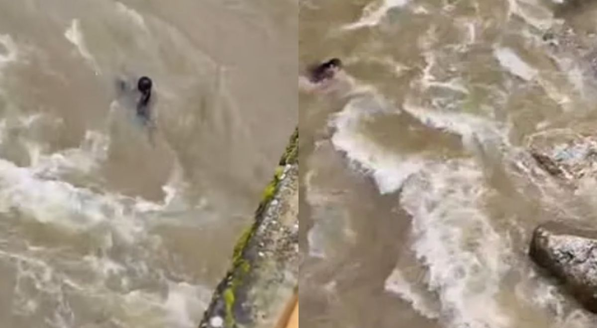 Madre e hijo pierden la vida al ser arrastrados por el río en Cajamarca ...