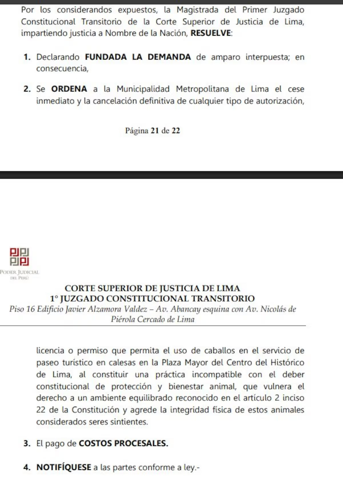 Isso não vai acontecer mais! | Judiciário ordena fim dos passeios de charrete na Plaza de Armas de Lima