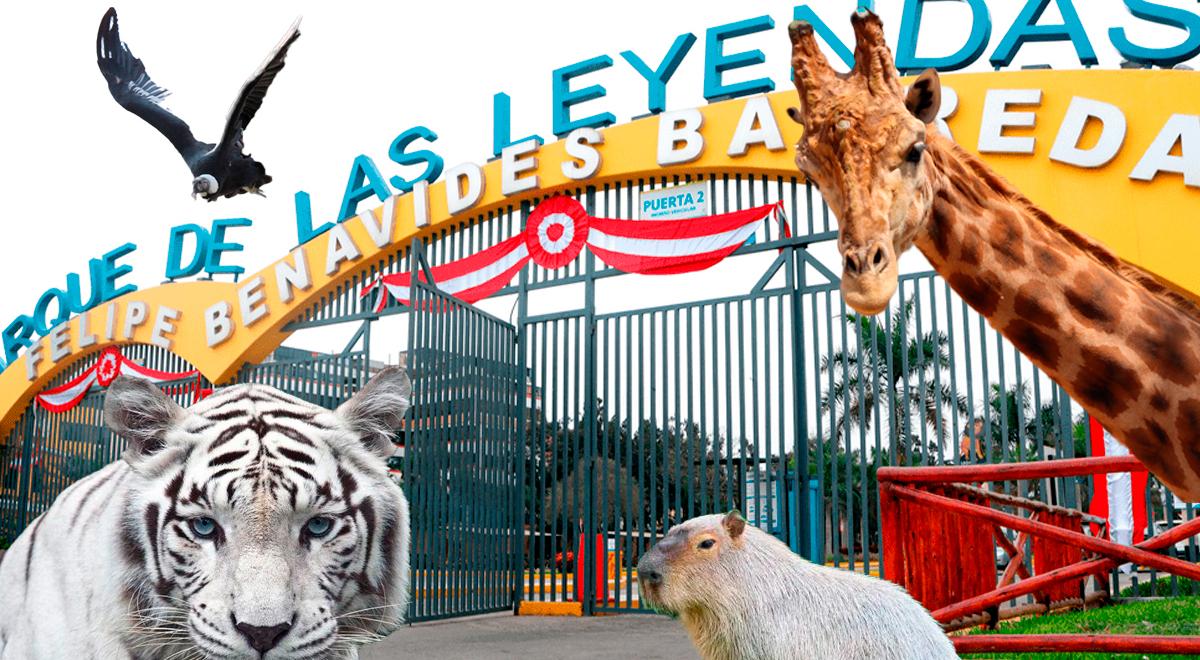 Um adeus emocionante Após 17 anos de história, Legends Park perdeu um de seus animais mais queridos