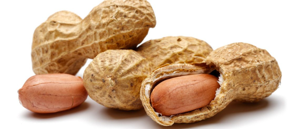 Alerta de saúde dos EUA: massa de biscoito recuperada por não declarar amendoim