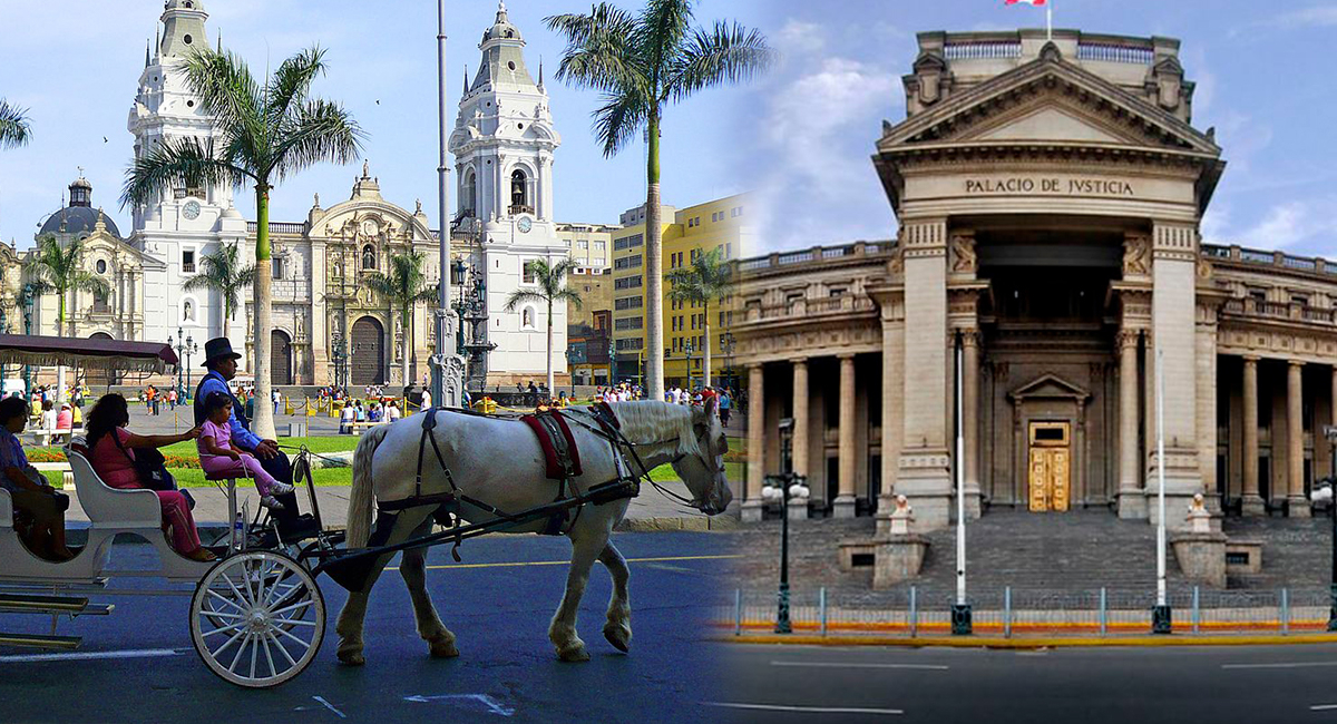 Praça de Armas de Lima sem passeios a cavalo: PJ dá ultimato ao MML e pede retirada de animais