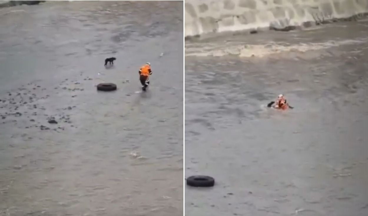 Eles usam helicópteros no rio RÍMAC para procurar um policial desaparecido que tentou salvar um cachorrinho: “Ele pediu ajuda”