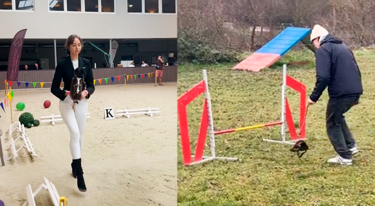 Novo fenômeno social: de Therians a ‘Hobby Dogging’, pessoas passeando com animais de estimação imaginários ou cães invisíveis