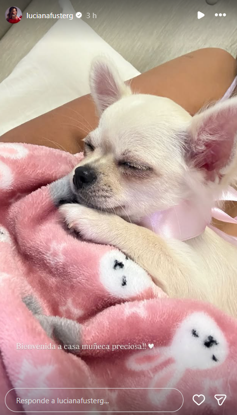 Louisiana Foster emociona fãs ao anunciar novo membro de sua família: “Bem-vindo ao lar”