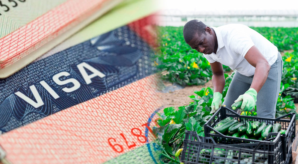 Imigrantes comemoram a decisão de Trump: é uma grande mudança no visto H-2A