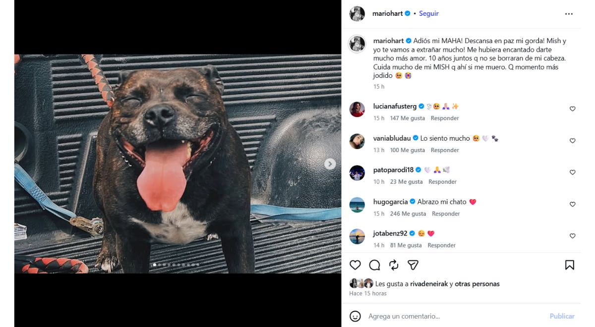 Mario Hart sofre uma perda irreparável e parece arrasado, mas Corina Rivadeneira tem uma reação arrepiante: “Que momento…”