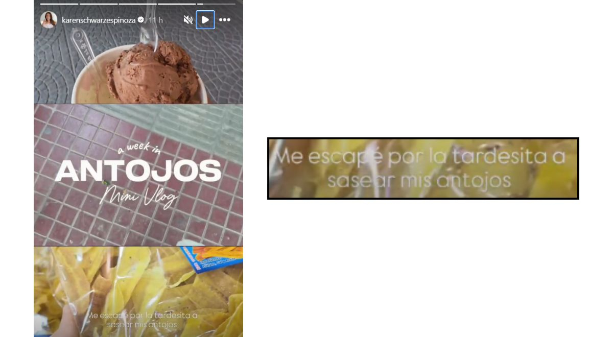 Karen Schwarz comete error y publica frase con error.  