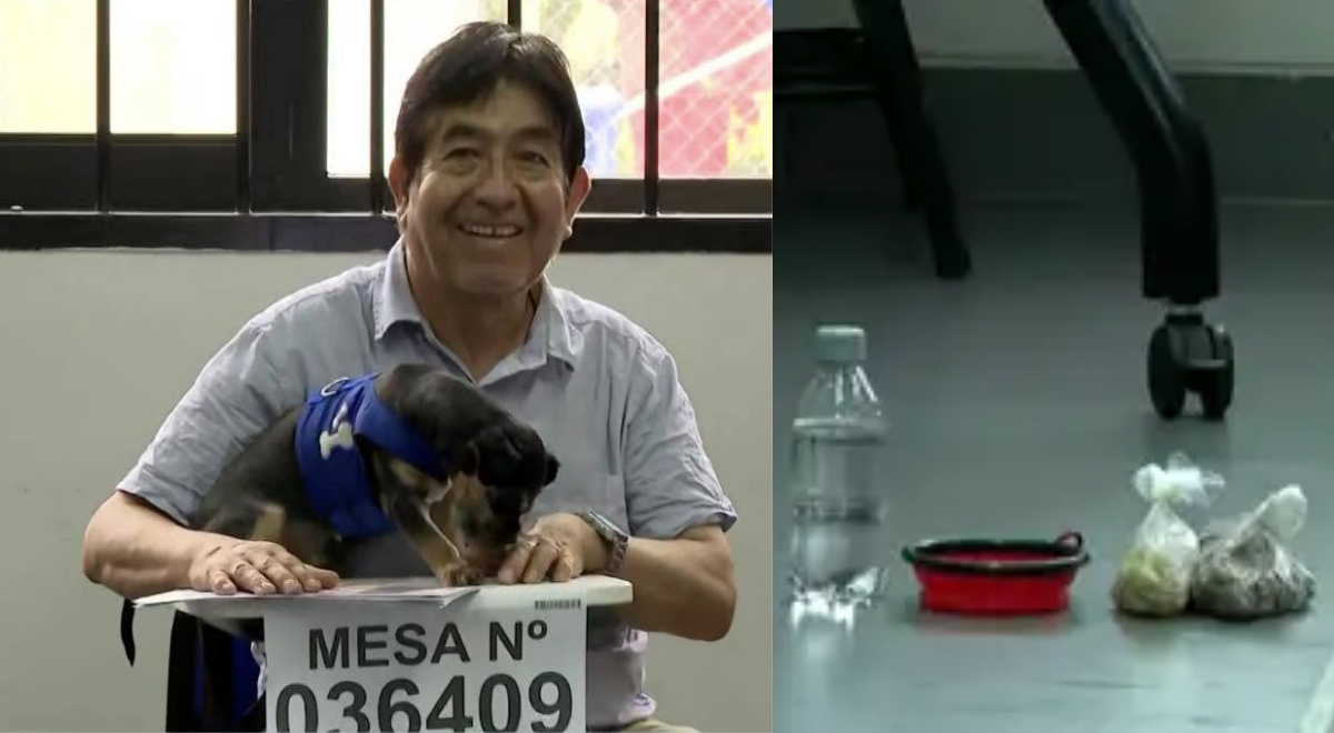 Un citoyen arrive pour voter avec son chien et finit membre du bureau de vote faute de détenteurs : “devoir civique manqué”