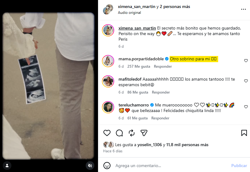 Hermana de Andrea San Martín anuncia su embarazo. Hermana de Andrea San Martín anuncia su embarazo.