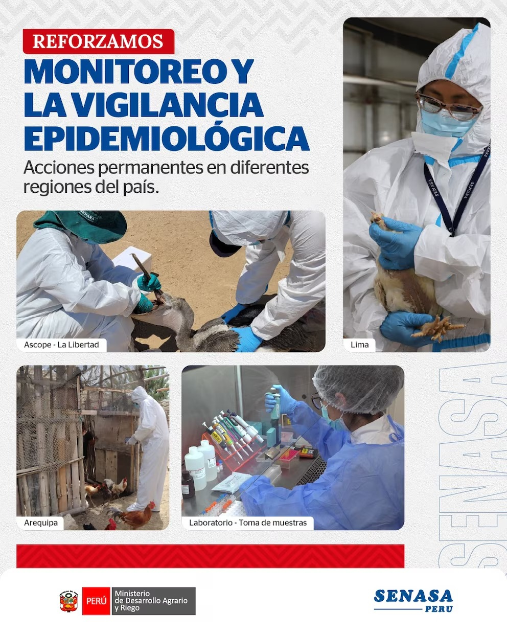 Restricciones tras el brote de gripe aviar Restricciones tras el brote de gripe aviar