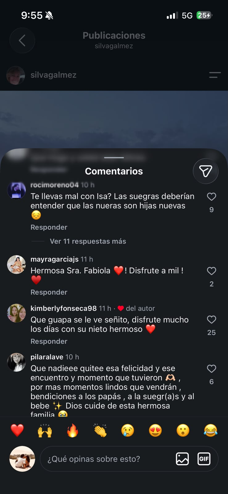 Especulaciones sobre la relación familiar Especulaciones sobre la relación familiar