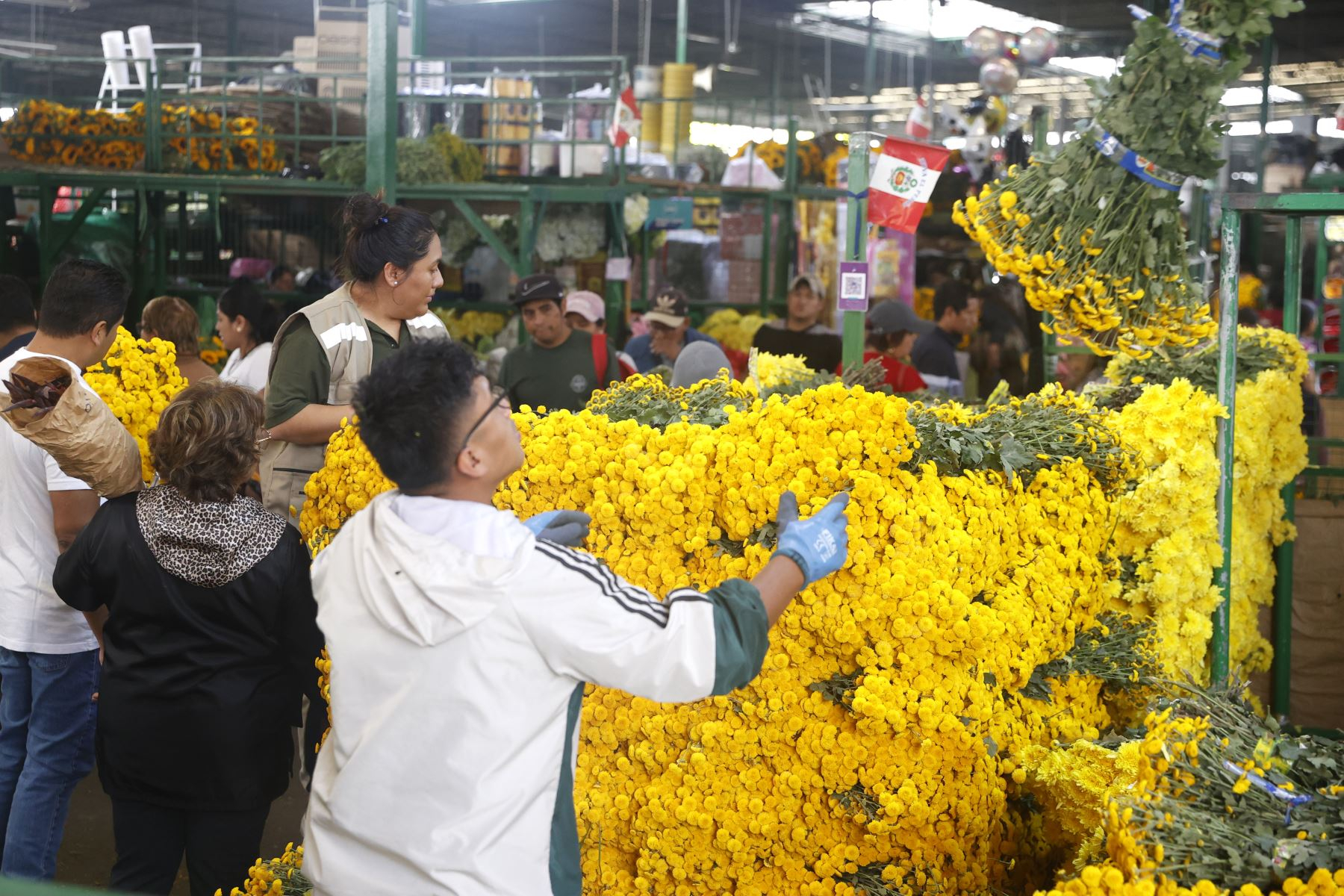 Flores amarillas 21 de septiembre: precios en Lima suben hasta S/70 y esta es la razón. Foto: Difusión. Flores amarillas 21 de septiembre: precios en Lima suben hasta S/70 y esta es la razón. Foto: Difusión.